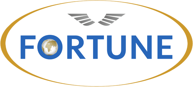 Fortune Group - Industrial and MIDC Consultants in Pune