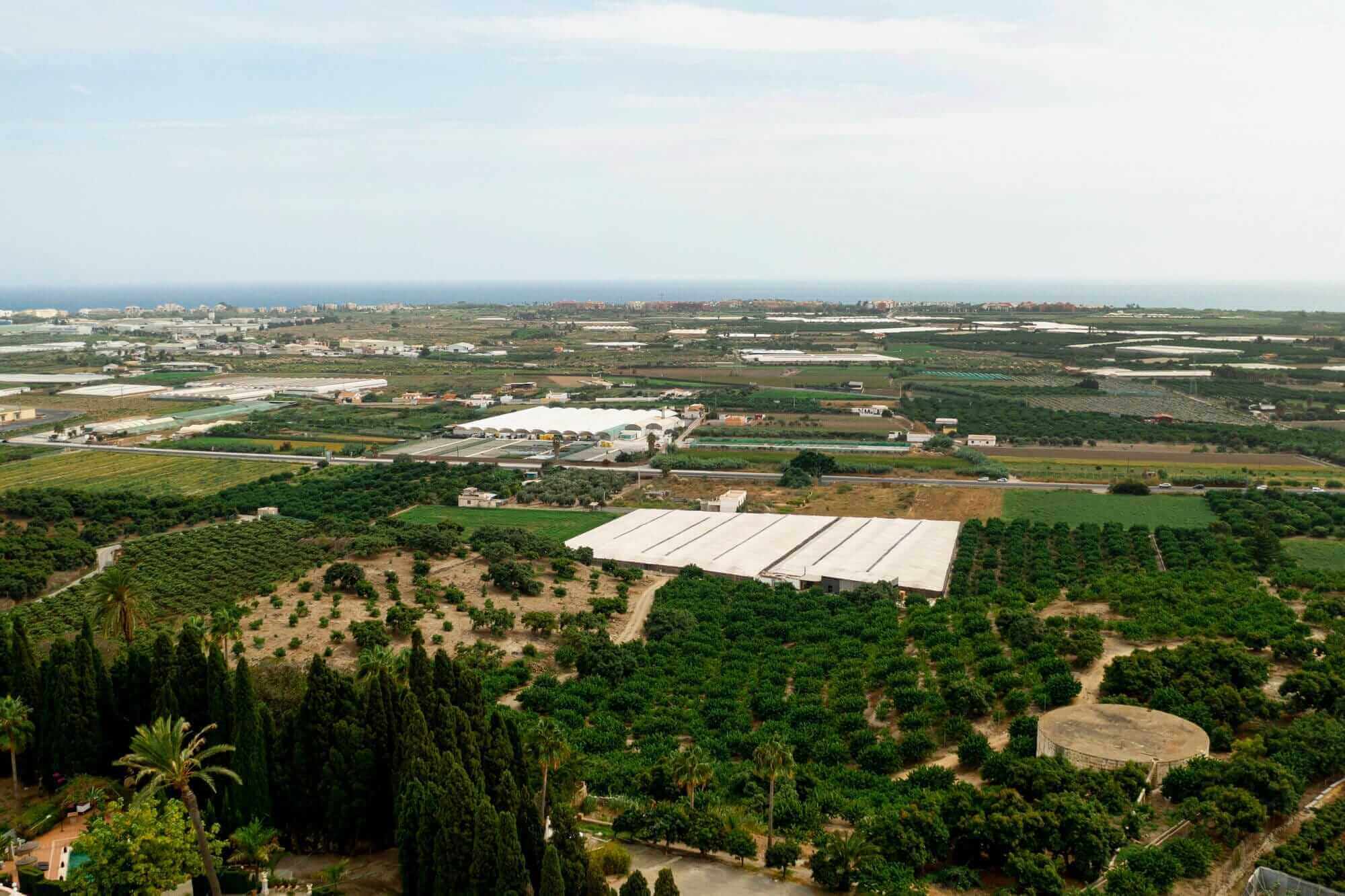 Fortune Group | Fortune Group